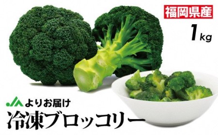 福岡県産 冷凍ブロッコリー1kg（1kg×1袋）[H2256]