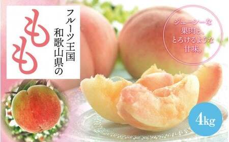フルーツ王国 和歌山 の 桃 約4kg【2026年6月中旬から7月下旬発送】【ard049C】