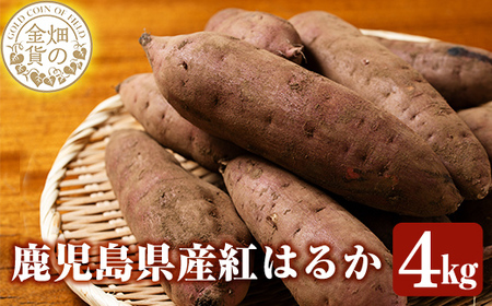 さつまいも サツマイモ 紅はるか 4kg 生芋【甘いも販売所】a174