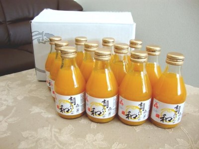 有田みかんの和（なごみ）180ml×12本【kjk111】