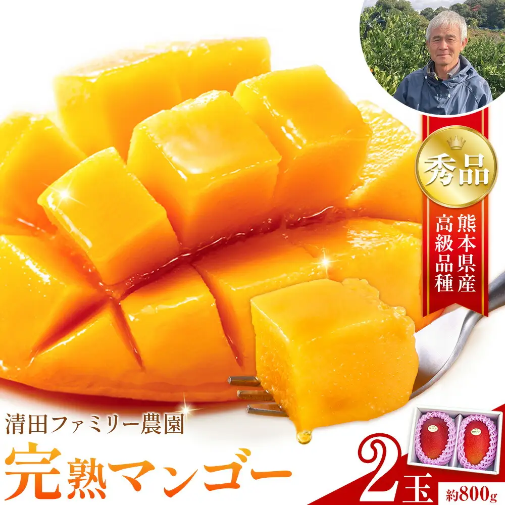 マンゴー 秀品 清田ファミリー農園 2玉