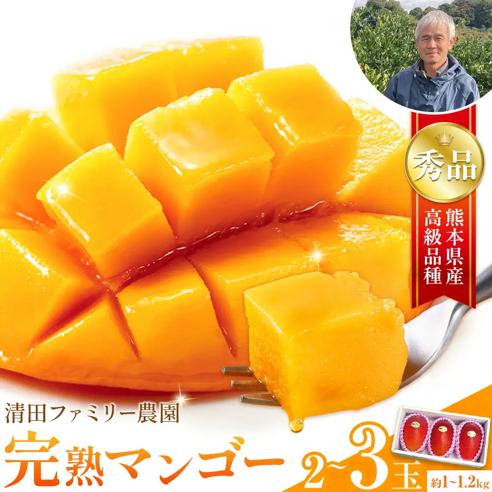 マンゴー 秀品 清田ファミリー農園 2～3玉 |マンゴー