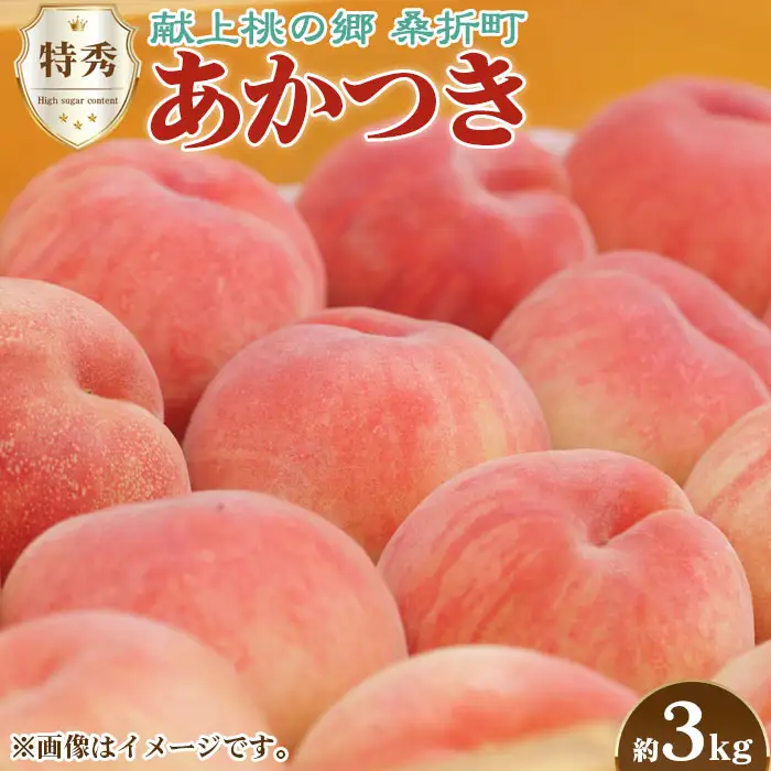 もも【あかつき・2026年産】特秀約3kg「献上桃の郷ブランド品」桑折町産　JAふくしま未来　桃 ／ もも モモ 果物 フルーツ 旬 甘い 甘み ジューシー 果肉 果汁 新鮮 フレッシュ デザート おいしい 産地直送 桑折 こおり こおりまち 福島県 特産品 No.096