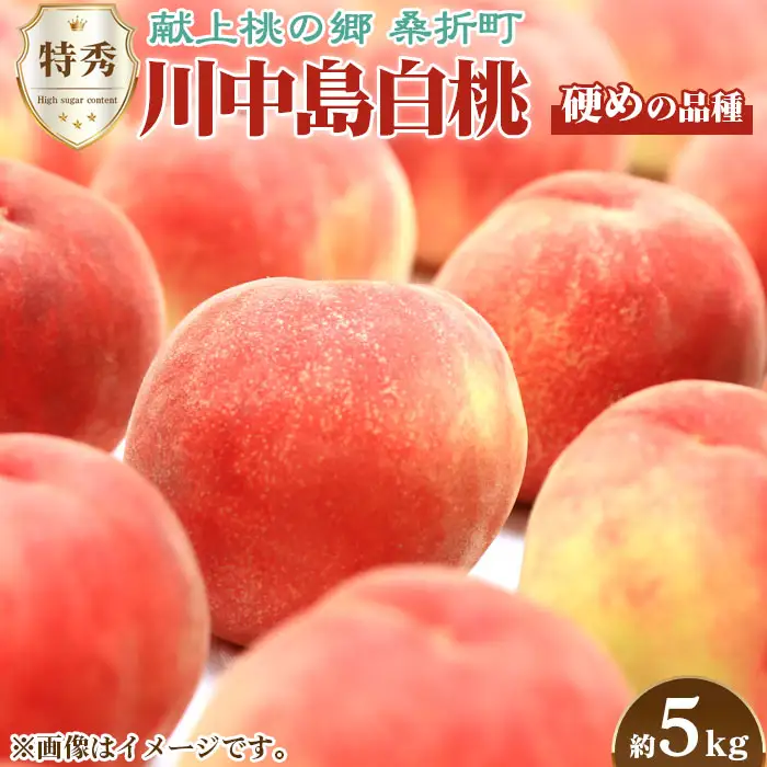 もも【川中島白桃・2026年産】特秀　5kg　桑折町産　JAふくしま未来　桃 ／ もも モモ 果物 フルーツ 旬 甘い 甘み ジューシー 果肉 果汁 新鮮 フレッシュ デザート おいしい 産地直送 桑折 こおり こおりまち 福島県 特産品 No.100