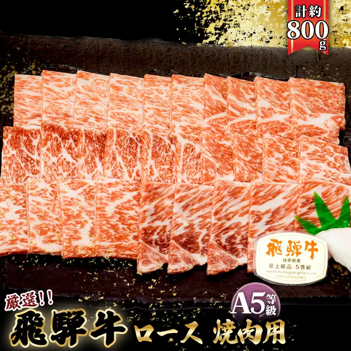 店主こだわり雌牛 飛騨牛A5等級　ロース　焼肉用　約800g [No.065]