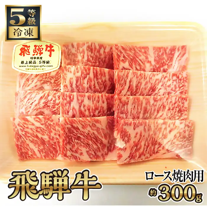 飛騨牛ロース焼肉用 約300g（5等級 冷凍） [No.214]
