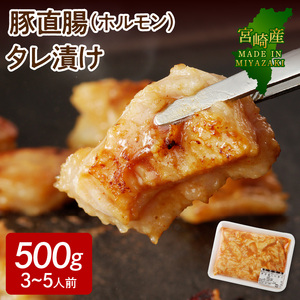【宮崎産】豚直腸(ホルモン)タレ漬け500g(3～5人前) N061-YA0456