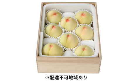 桃 2026年 先行予約 岡山特産 清水白桃 約2.0kg 7～8玉 桐箱
