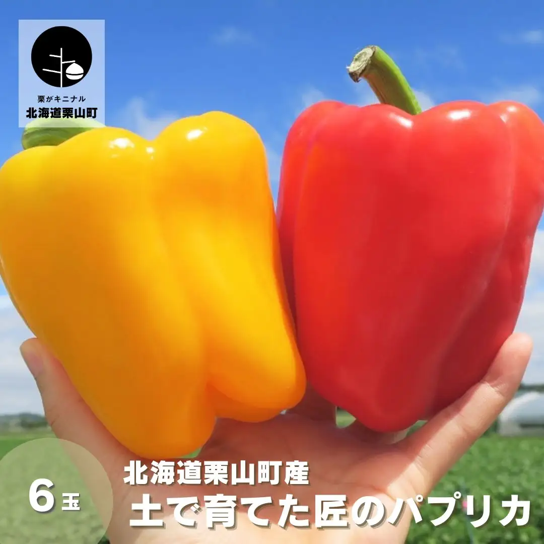 北海道栗山町産 土で育てた匠のパプリカ 6玉