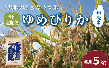【無洗米6ヶ月定期便】特別栽培「きなうす米」ゆめぴりか5kg×6回