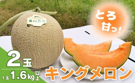 とろける舌触り！北海道栗山町東山農場産キングメロン 2玉