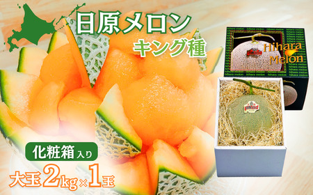 大玉「日原メロン（キング種）」（ 2.0kg相当×1玉 北海道産）カラー化粧箱入り