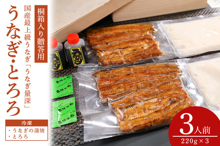 贈答用　うなとろ３人前セット 桐箱入り FJ-001