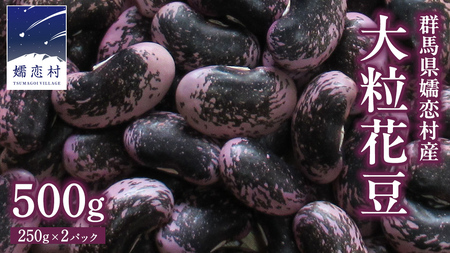 嬬恋村 浅間高原特産【 大粒 】乾燥 花豆 500g [AI001tu]