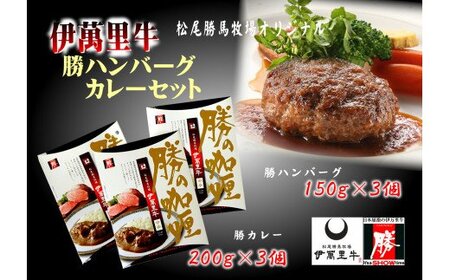 伊万里牛ハンバーグ・カレーセット 各3個入 007-J1780