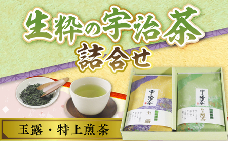 生粋の宇治茶詰合せ(玉露100g・特上煎茶100g) 銘茶 お茶 宇治茶 緑茶 玉露 煎茶 【uj-AW001】【合資会社松阪屋嘉八本店】