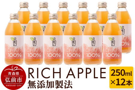 りんごジュース RICH APPLE 無添加製法 12本セット（250ml×12本）