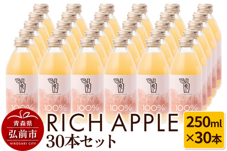 りんごジュース RICH APPLE 30本セット（250ml×30本）