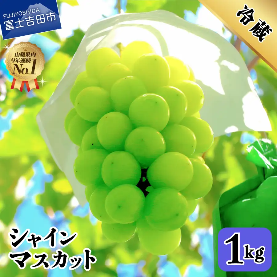 シャインマスカット 【2026年発送】山梨県産 シャインマスカット約1㎏（2～3房）フルーツ