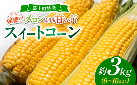 スイートコーン 約3kg 「京築の恵み」【令和8年6月上旬～6月下旬発送】 [ABAW001] 