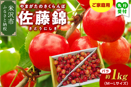 【先行予約】【数量限定】 令和8年産 家庭用 訳あり さくらんぼ 佐藤錦 バラ詰め 1kg 2026年6月中旬～下旬頃お届け予定