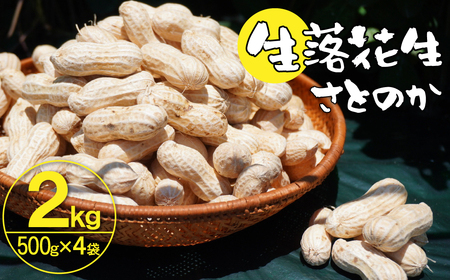 生落花生 さとのか 2kg 高鮮度保持フィルム使用 耕地の美味しい野菜シリーズ第5弾 H132-029