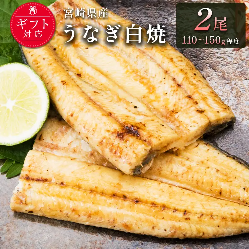 【2週間以内発送】「玄人の一品」宮崎県産うなぎ白焼き 2尾(110～150g) ＆蒲焼きタレ付（50ml×1本）鰻 ウナギ 国産【A2】