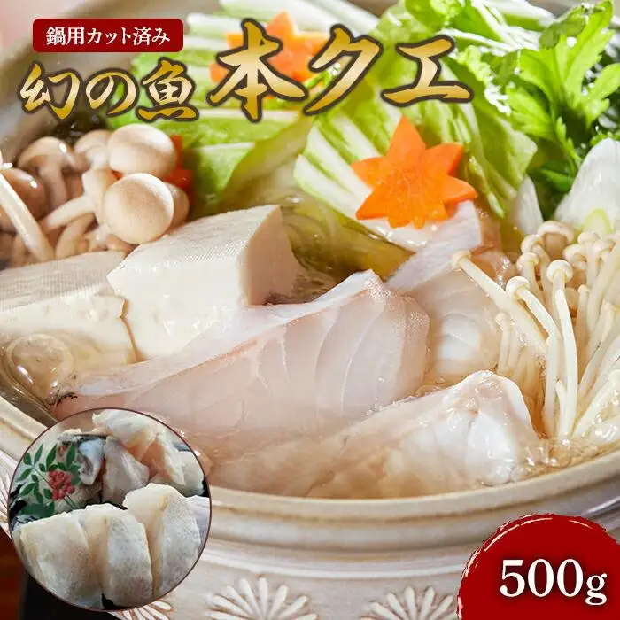 幻の魚　本クエ鍋用　紀州和歌山　500g