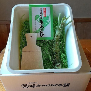 芸州吉和村 植本わさび本舗　生わさび ときめき初体験セット
