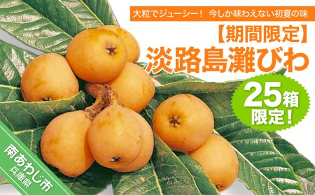【期間限定・数量限定】 淡路島灘びわ ◆配送6月中旬～