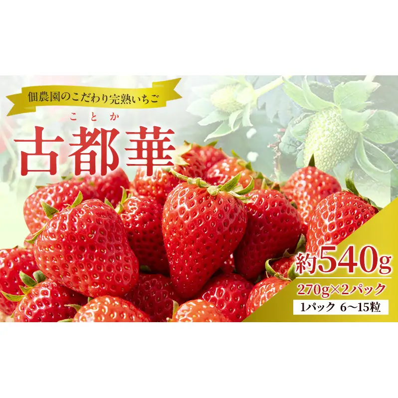 先行予約 【いちご 完熟 古都華 約540g(270g× 2パック ) 佃農園のこだわり 高評価 フルーツ 果物 旬 産地直送 旬の果物 おやつ デザート ことか イチゴ 冷蔵 冷蔵配送 奈良県 大和郡山市 BN001