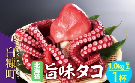 ＼高評価 4.8／ 北海道旨味たこ【1.0kg以上×1杯】_I012-0508