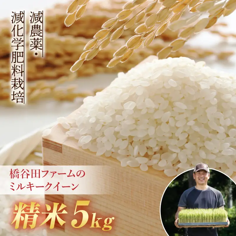 令和8年産 減農薬・減化学肥料栽培 ミルキークイーン 精米 5kg 米 お米 おこめ ご飯 ごはん 福島県 西会津町 F4D-2244
