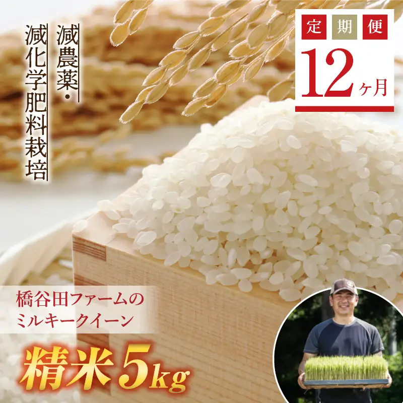 《定期便12ヶ月》【先行予約】令和8年産米 減農薬・減化学肥料栽培 西会津産米 ミルキークイーン 精米 5kg 米 お米 おこめ ご飯 ごはん 福島県 西会津町 F4D-2251
