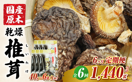 【6ヶ月定期便】乾燥しいたけ 240g（40g×6袋）×6回 1,440g しいたけ 定期便 定期 定期的 国産 宮崎県産 原木 栽培 乾燥 干し椎茸 原木椎茸 国産しいたけ 小分け 袋 小袋 普段使い 使い勝手 使い切り 肉厚 旨み 香り グルメ お取り寄せ 宮崎県 高千穂町 _Tk004-t041
