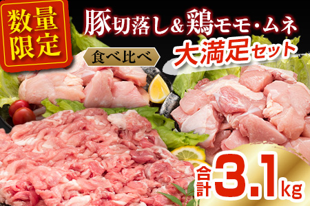 数量限定 豚肉 切り落とし 鶏肉 モモ ムネ セット 合計3.1kg_BDV2-26