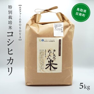 令和7年産 海と天地のめぐみ米(コシヒカリ)白米 5kg エコファームHOSOYA 鳥取県日南町