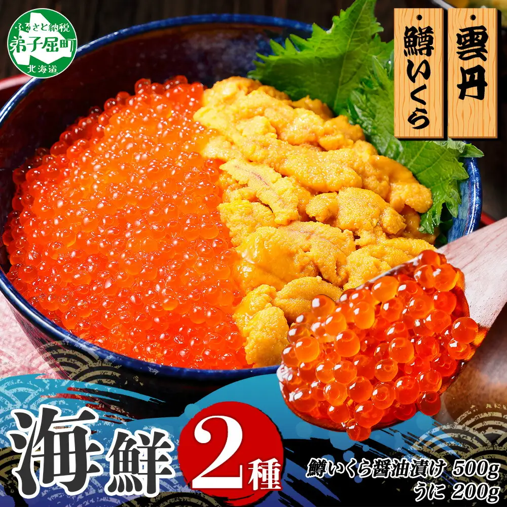 3617. 2種 海鮮丼 鱒 いくら醤油漬け 100g×5 約5-6人前 ウニ チリ産 雲丹 うに 100g×2 セット いくら イクラ いくら醤油 魚卵 ます マス 海鮮 送料無料 北海道 弟子屈町
