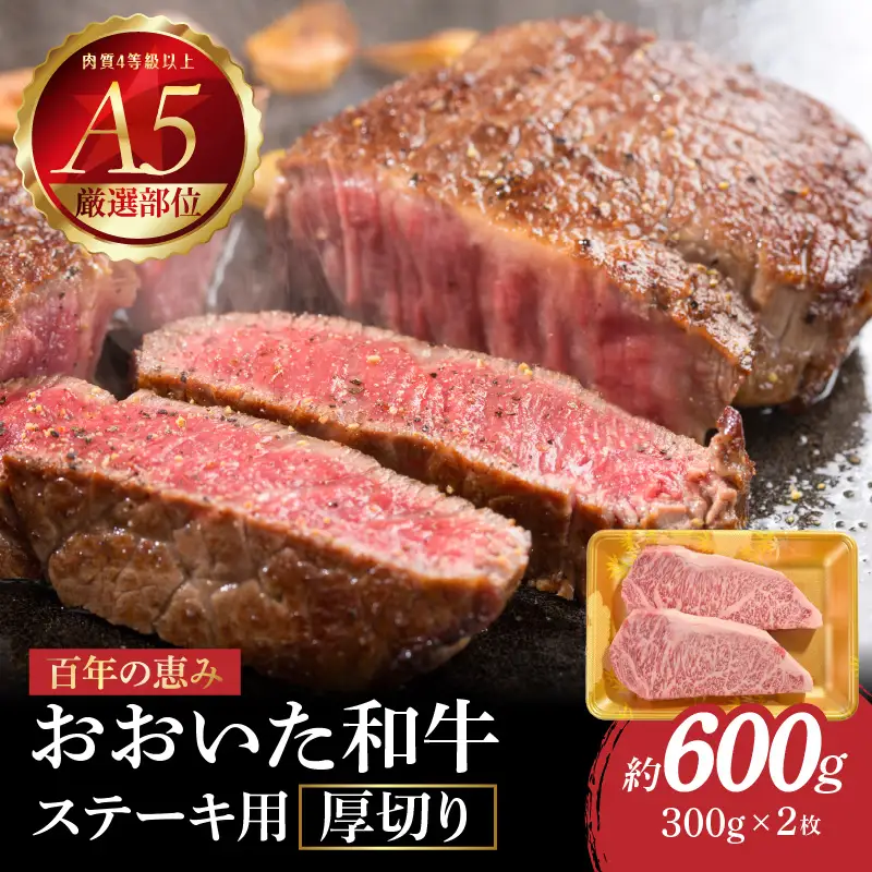 百年の恵み　おおいた和牛A5　ステーキ用厚切り【厳選部位】約600ｇ A01104