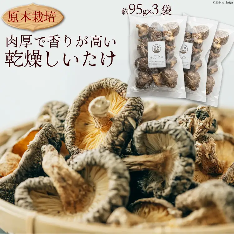 干し椎茸 しいたけ 乾燥 約95g 3 計約285g 肉厚 原木栽培 乾燥しいたけ [日添 熊本県 五木村 51120303]