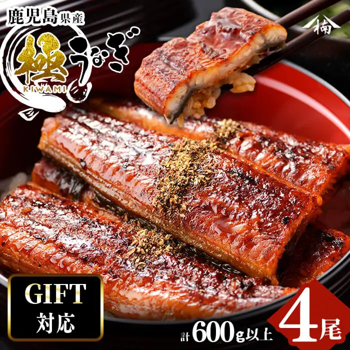 【ギフト対応】楠田の極うなぎ 蒲焼き150g以上×4尾(計600g以上) うなぎ 鰻 ウナギ 国産 鹿児島県産 九州産 蒲焼き 冷凍 うな重 ひつまぶし b6-010