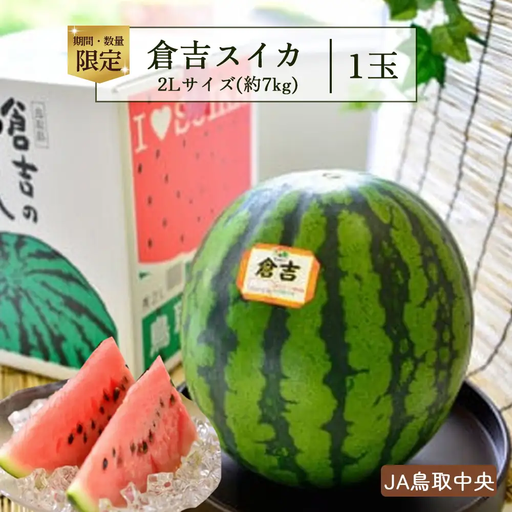 【先行予約】 倉吉スイカ 1玉 （2Lサイズ）JA鳥取中央 スイカ