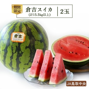 【倉吉産】倉吉スイカ 2玉 JA鳥取中央 スイカ 糖度12度以上