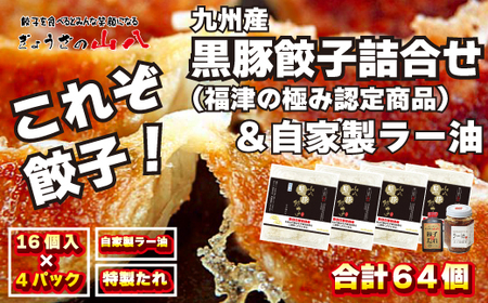 これぞ餃子!!九州産黒豚餃子詰合せ(福津の極み認定商品)＆自家製ラー油[H4383]
