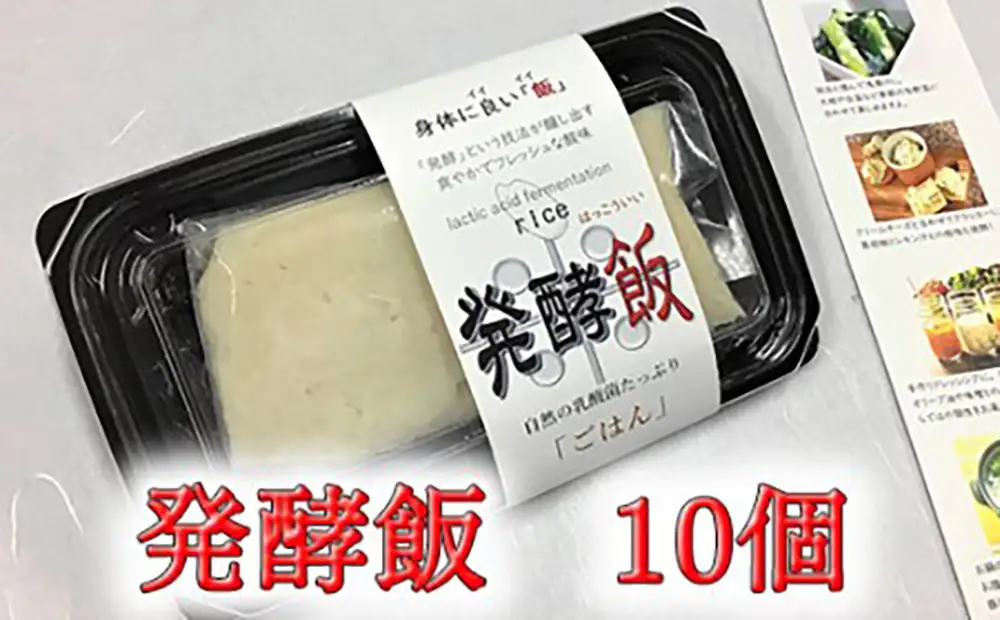 発酵飯10個【100g×10p】【AD24W】