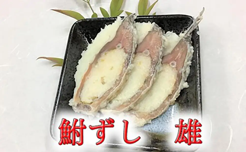 近江本にごろ　ふなずし　おす【500g】【AD25W】 鮒ずし