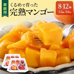 【2026年6月以降お届け】【家庭用】くるめで育った完熟マンゴー（8～12個：約3.2～3.6kg）_家庭用 トロ～ッと口のなかでとろける くるめで育った 完熟マンゴー 8個 ～ 12個 甘い 子供も安心 フルーツ トロピカルフルーツ 果物 マンゴー 完熟 国産 ビタミンA 冷蔵 アップルマンゴー お取り寄せ 福岡県 久留米市 送料無料 〔Fm009〕
