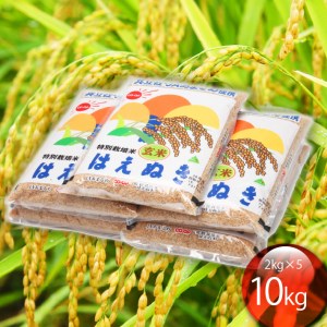 庄内町産 特別栽培米 玄米はえぬき 10kg 2kg×5袋 令和7年産 2025年産 はえぬき 玄米 ブランド米 米 国産 単一原料米 山形 庄内平野 コシヒカリの原点、亀の尾発祥の地 庄内