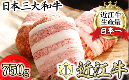 ハンバーグ 近江牛 プレミアム 750g (約 150g × 5個 ) ブランド 牛肉 黒毛和牛 【Y095W】