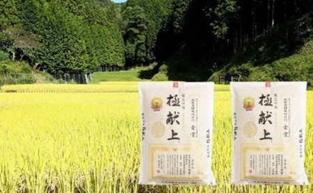 【絶品】全国で認められたうまさ！植田さんの受賞米食べ比べ2品種×2kg お米 京都 国産 金賞 